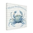 thumbnail image 4 of Trademark Fine Art 'Nautical Life X' Canvas Art by Lisa Audit, 4 of 4