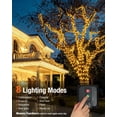thumbnail image 4 of Guirnalda de luces solares Bitjam 147 pies 450 LED 8 modos IP65, 4 of 7