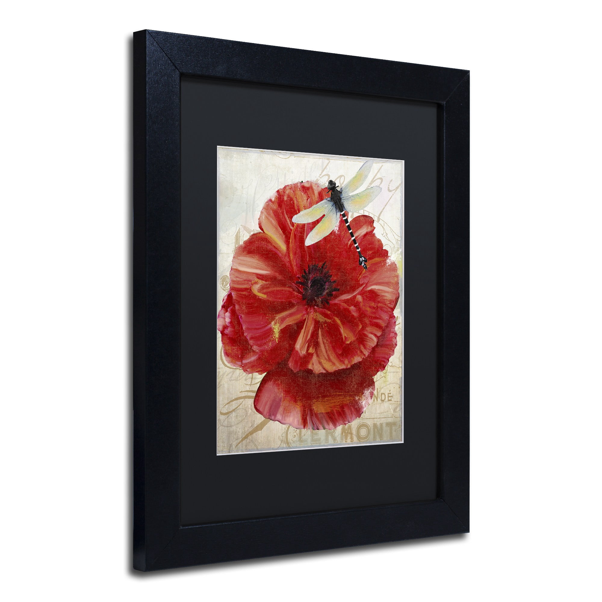 Trademark Fine Art "Le Pavot Dragonfly" Canvas Art by Color Bakery, Black Matte, Black Frame