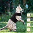 thumbnail image 6 of Escape Proof Pet Cat Harness with Leash Adjustable Soft Mesh Reflective M, 6 of 7
