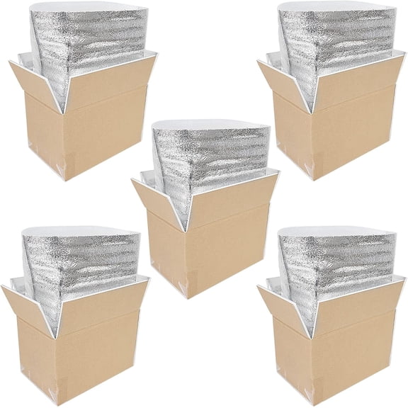 STRBOXONG Thermo Chill Double Insulated Carton with Foil Insulated Bag Liner, Cold Shipping Box for Frozen Food, Cooler Box for Posting, Small Parcel Postage Postal Mailing Boxes 9.8x6.1x5.5" (5pcs)