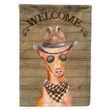 Carolines Treasures CK6347GF Pharaoh Dog Country Dog Flag Garden Size  Small multicolor