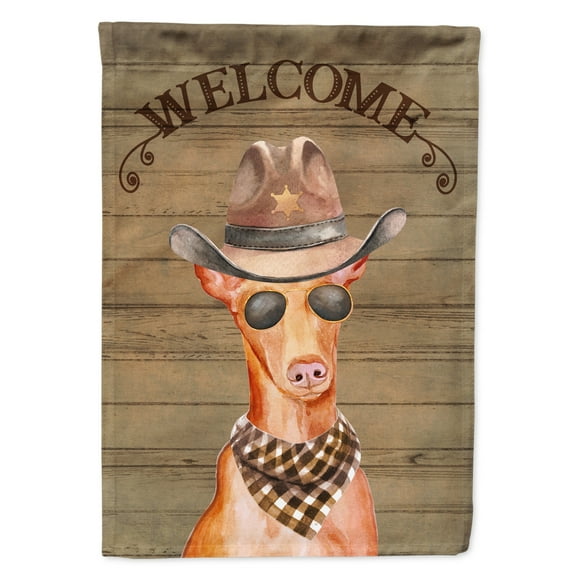 Carolines Treasures CK6347GF Pharaoh Dog Country Dog Flag Garden Size  Small multicolor