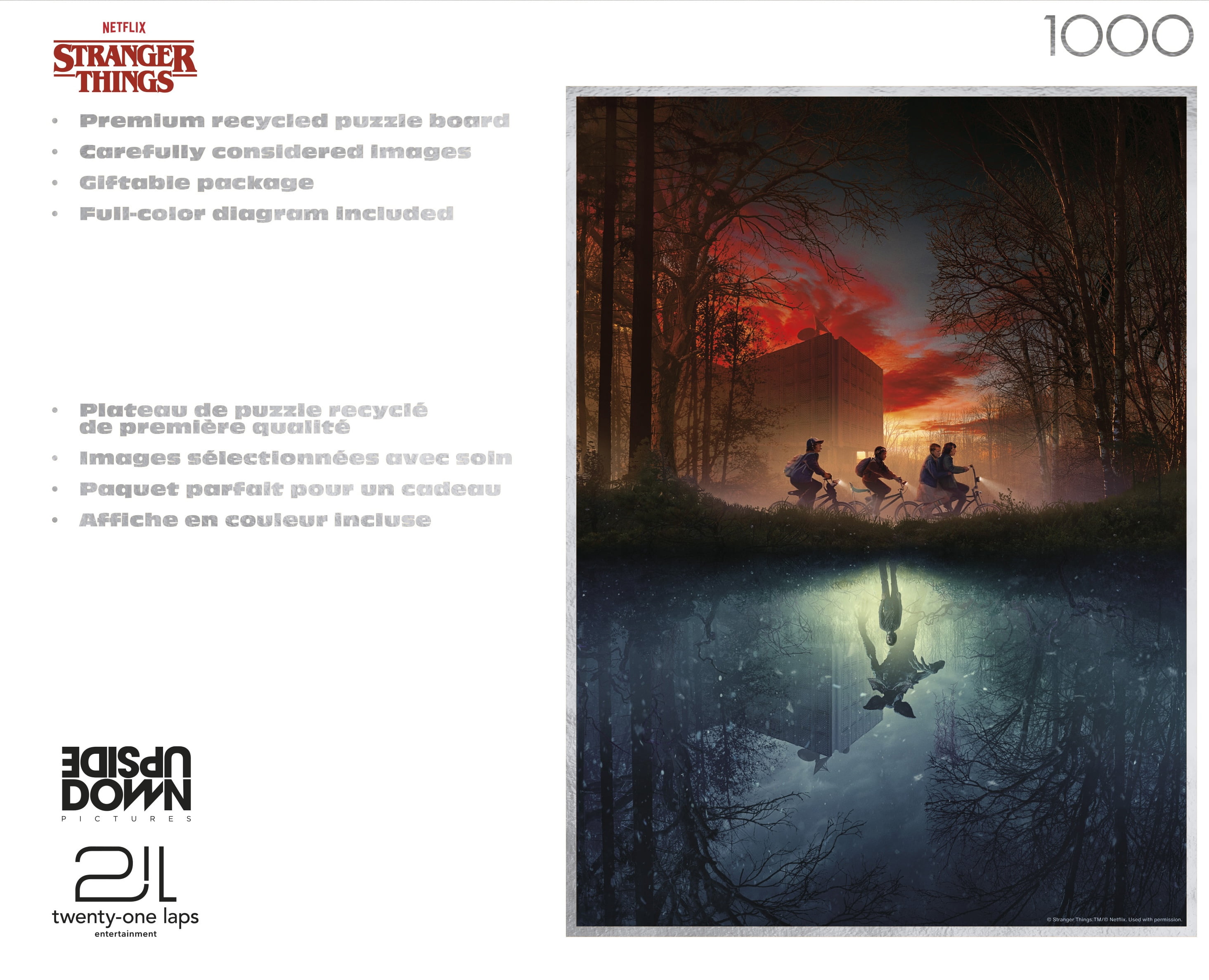 Buffalo Games Missing Friend 1000-Piece Interlocking Jigsaw Puzzle for Adults Ages 14-99 Years