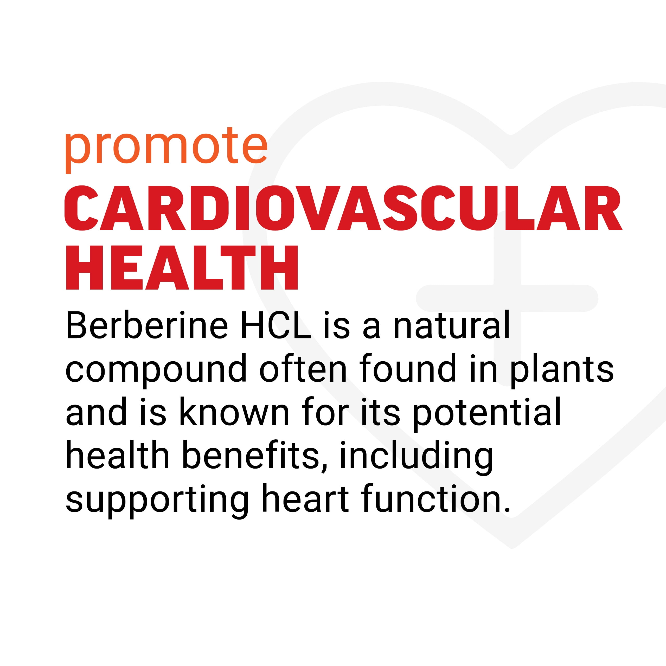 Force Factor Ultra Berberine, 500mg Berberine HCL, Cinnamon & Chromium for Metabolism Support, Weight-Loss & Healthy Glucose Levels, 60 Capsules
