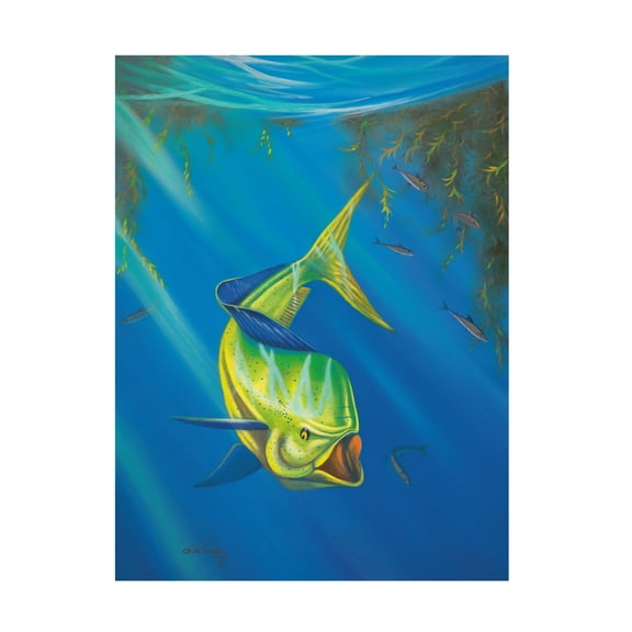 Trademark Fine Art 'Mahi Mahi' Canvas Art by Geno Peoples
