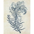 thumbnail image 3 of Fab Funky 20x24 Black Modern Framed Museum Art Print Titled - Indigo Blue Seaweed 3 c, 3 of 5