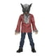 Photo 1 of Grey Werewolf Boys Halloween Costume