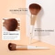 thumbnail image 3 of Set de brochas de maquillaje DuCare Professional Synthetic 14 piezas, 3 of 7