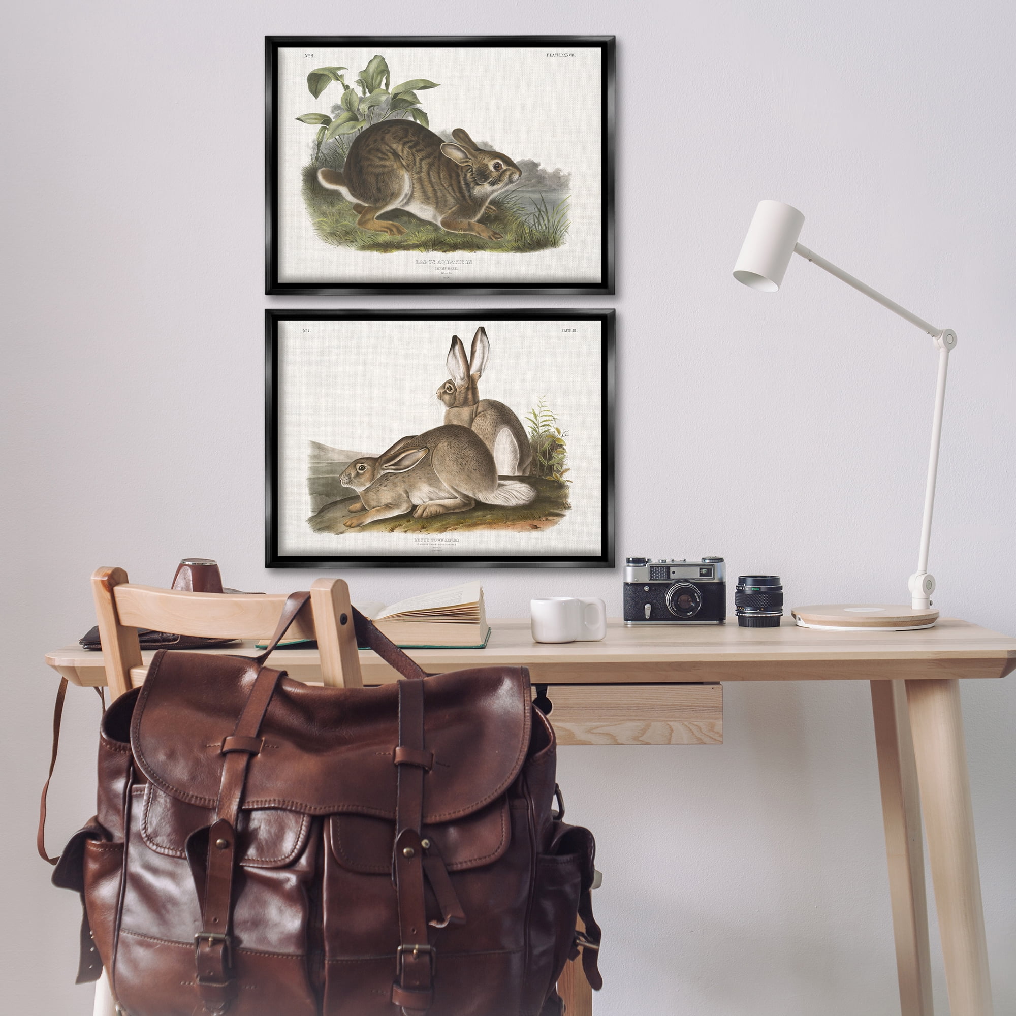 Stupell Industries Gentle Resting Cottage Rabbit Animals Painting Black Floater Framed Canvas Art Print Wall Art, 25 x 17, Set of 2