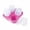 Hot Pink, variant on 2.5 Inch 3D Silicone Rose Ice Molds,Large Flower Ice Cube Molds,4 Cavity Fun Ice Tray Shapes,Easy Release,For Cocktail,Brandy,Juice,Wine,Whiskey,Bourbon (Hot Pink)