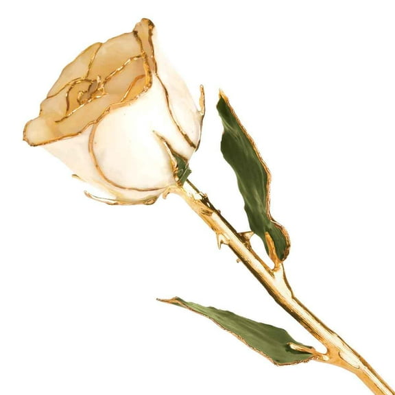 Lacquered Dipped 24K Yellow Gold-Plated Trimmed Green Leaf with White Rose