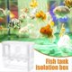 thumbnail image 4 of Fish Breeding Box Double-Layer Acrylic Breeding Tank Isolation Box, 4 of 5
