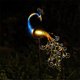 thumbnail image 4 of Ounissouiy Lámpara Solar de jardín de pavo real de 5 piezas, luz suave y cálida para espacios al aire libre, luz LED para jardín con energía Iluminación y accesorios, 4 of 6