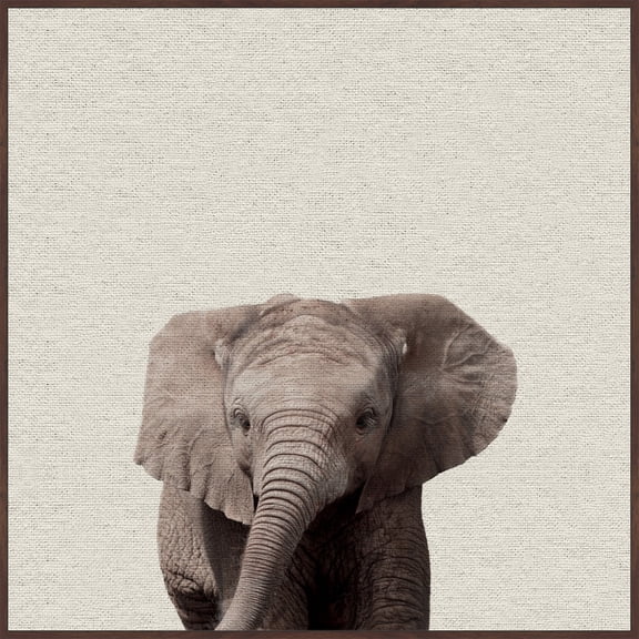 Elephant Surprise Floater Framed Painting Print on Canvas