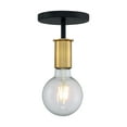 thumbnail image 6 of 60/7343-Nuvo Lighting-Ryder-1 Light Semi-Flush Mount in Industrial Style-4.75 Inches Wide by 4.88 Inches High-Black/Brushed Brass Finish, 6 of 8