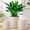 Gray, variant on Ceramic Plant Pots, 3 Piece Indoor Planters Set with Drainage, 4.25+5.25+6.25 Inch Flower Pots for Succulents, Snake Plant, Pothos, Money Tree, Blue