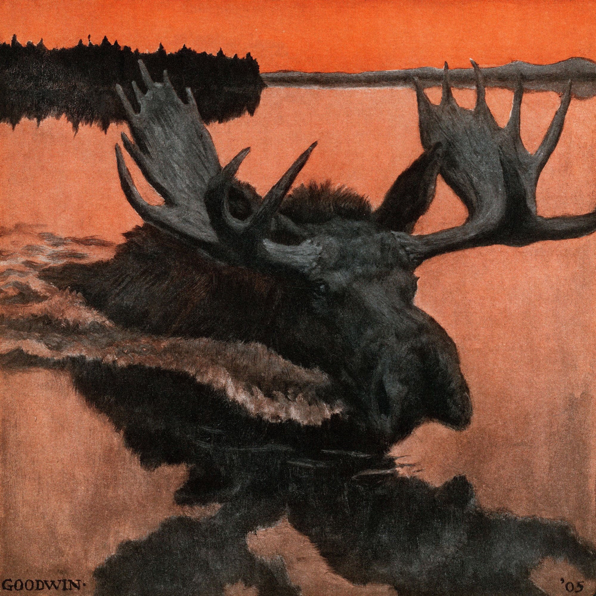 "Swimming Moose" Painting Print on Wrapped Canvas