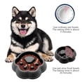 thumbnail image 2 of Bcylexb Cat Paw Shape Slow-Feeding Dog Bowls with Anti-Choking Design, Pet Bowls Suitable for Small and Medium Cats and Dogs, Black, 2 of 6