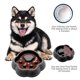 thumbnail image 1 of Tazón de alimentación lenta con estampado de pata de gato. Tazón para perros que evita la asfixia. Adecuado tanto para gatos como para perros. Tazón de plástico., 1 of 6