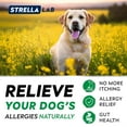 thumbnail image 4 of StrellaLab Dog Allergy Relief & Anti Itch Relief for Dogs Chews with Omega 3 - Skin & Coat Immune Supplement with Fish Oil, Pumpkin & Enzymes — Developed by Experts - Made in USA - 120 Count, 4 of 8