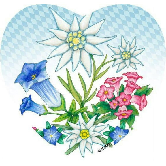 Oktoberfest Haus Multicolor Ceramic Edelweiss Flower Design Magnetic Tile for Home Decor
