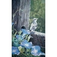 thumbnail image 2 of Goebel, Wilhelm 16x24 Gold Ornate Wood Framed with Double Matting Museum Art Print Titled - The Fledgling - Young Mockingbird, 2 of 4
