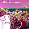 thumbnail image 4 of HSHDLDF Halo Plant Light Full Spectrum Adjustable LED Grow Light with Auto Timing Switch USB Grow Light for Indoor Plants 3 Heads / Adapter Included Pink White, 4 of 7