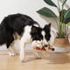 thumbnail image 4 of Dog Toys, Dog Plush Toy for Large Breed, Cute Squeaky Dog Toys with Crinkle Paper, Dog Chew Toys for Puppy, Small, Middle, Big Dogs (Cow), 4 of 4