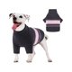 thumbnail image 1 of Pet Sweater, Warm Turtleneck Knitted Pullover Cat/Dog Sweater For Cold Weather, Soft Knitwear Winter Clothing For Small/Medium Dogs And Cats, 1 of 5