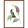 thumbnail image 2 of Art.com Delicate Hummingbird IV Art Print by Vision Studio, Brown Frame Wall Art, 21" x 29", 2 of 5