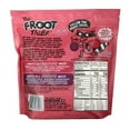 The Froot Thief Real Fruit Whips, Fresh Apple, No Sugar Added, 20 Count (14 Ounce)