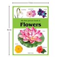 thumbnail image 3 of My First Picture Book Of Flowers: Picture Books For Children, 3 of 4