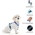 thumbnail image 2 of YIXIGGC Small Dog Harness and Leash Set, No Pull Dog Harness Adjustable Reflective, Dog Halter Harnesses Comfort Padded Handle, Pet Harness for Training Outdoor Walking（Gsky-S DYF329-2235, 2 of 7