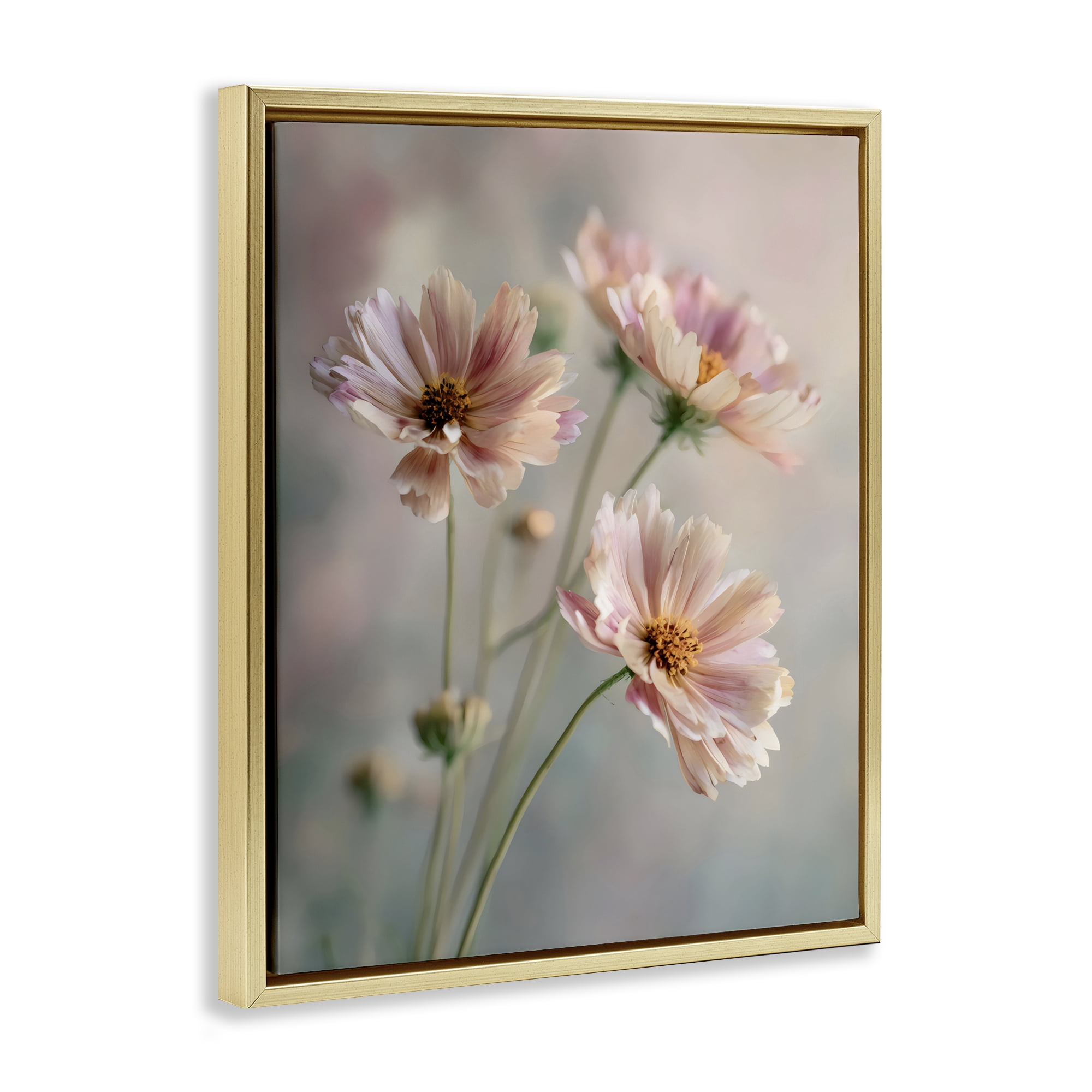 Stupell Industries Pink Daisies Close Up Gold Framed Floater Canvas Wall Art, design by Franklyn Gregory