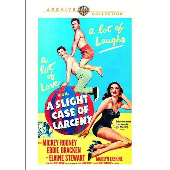 A Slight Case of Larceny (DVD), Warner Archives, Action & Adventure