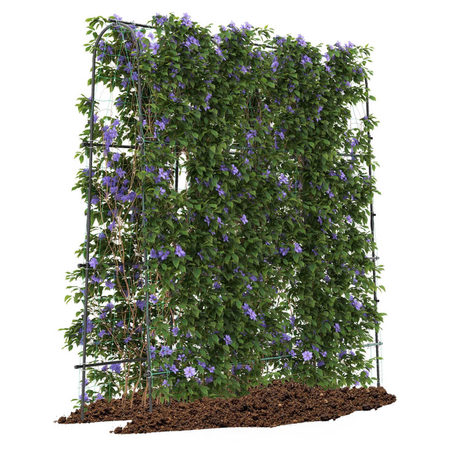 Biotree 71 x 71 Inch U-Shaped Tall Garden Arched Trellis for Climbing Plants Tomatoes and Vegetables - Black