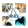 thumbnail image 2 of Padded Dog Lift Harness Support Sling Lifter Walk Disable Dogs Walk Assist with Handle Walk Full Body, 2 of 9