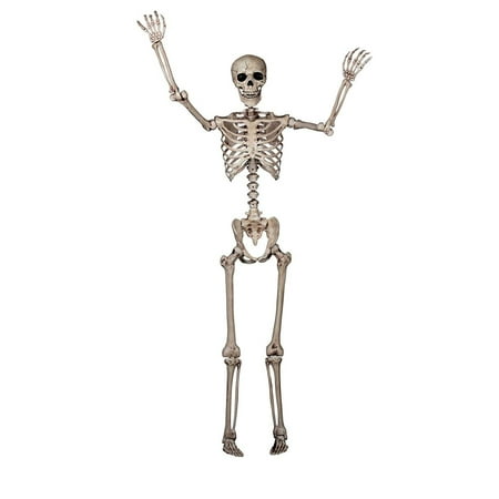 Skeleton Poseable Halloween Decoration