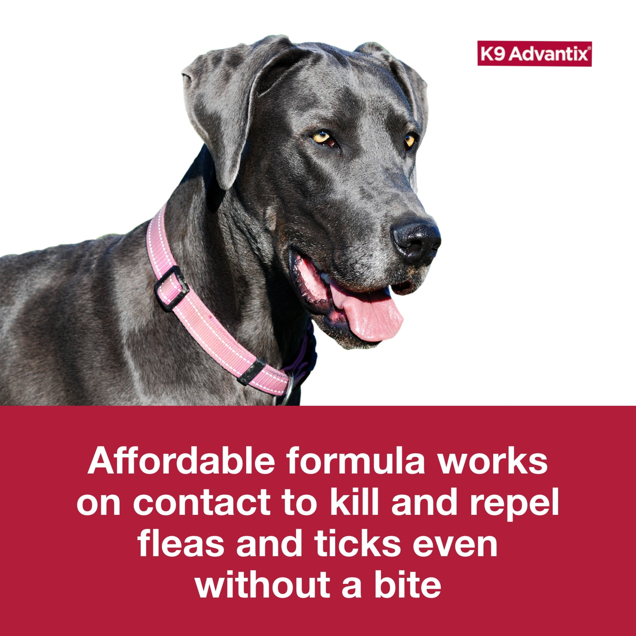 K9 Advantix Flea Tick Mosquito Prevention for Extra Large Dogs Over 55 lbs. 2 Monthly Treatments Walmart