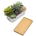 thumbnail image 7 of MyGift Artificial Succulents in Ceramic Pot with Bamboo Tray, 7 of 7