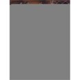 thumbnail image 1 of Carolines Treasures APH0934GF Witch & Crows Stirring It Up Halloween Flag Size, 1 of 3