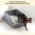 thumbnail image 4 of Happy & Polly Coconut Charcoal Tofu Cat Litter, 5.5 lb Bag, 8Count, 4 of 9