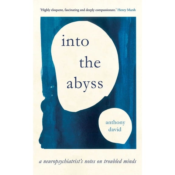 Into the Abyss : A neuropsychiatrist's notes on troubled minds (Hardcover)