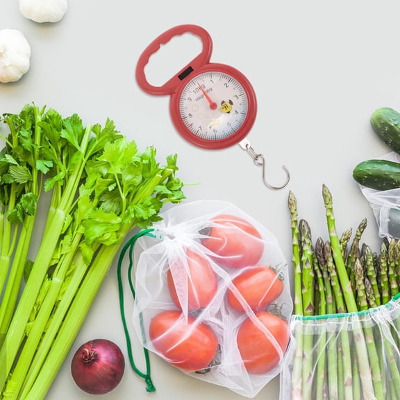 Raindrops Portable Mechanical Spring Hanging Scale for Home, Industrial, Cooking, Vegetables, Luggage, and Suitcase Weighing