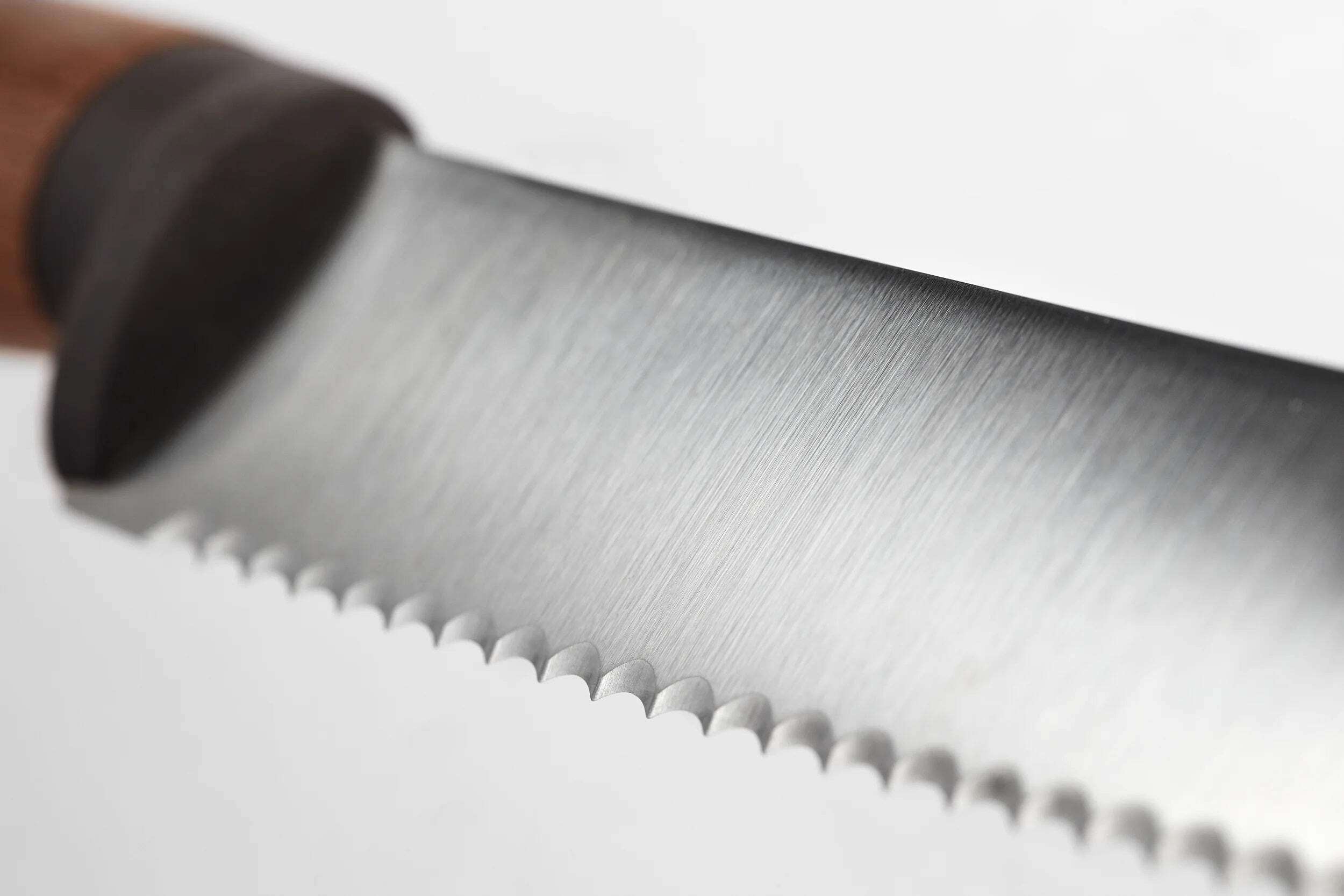 Wusthof Urban Farmer 9" Bread Knife 1025245723