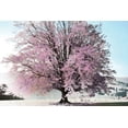 thumbnail image 2 of Weisz, Irene 32x23 White Modern Wood Framed Museum Art Print Titled - Season of Spring, 2 of 4