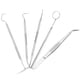 thumbnail image 5 of Kit de dentista, kit de limpieza dental profesional de acero inoxidable de 5 piezas, juego dental de apariencia llamativa, 5 of 12