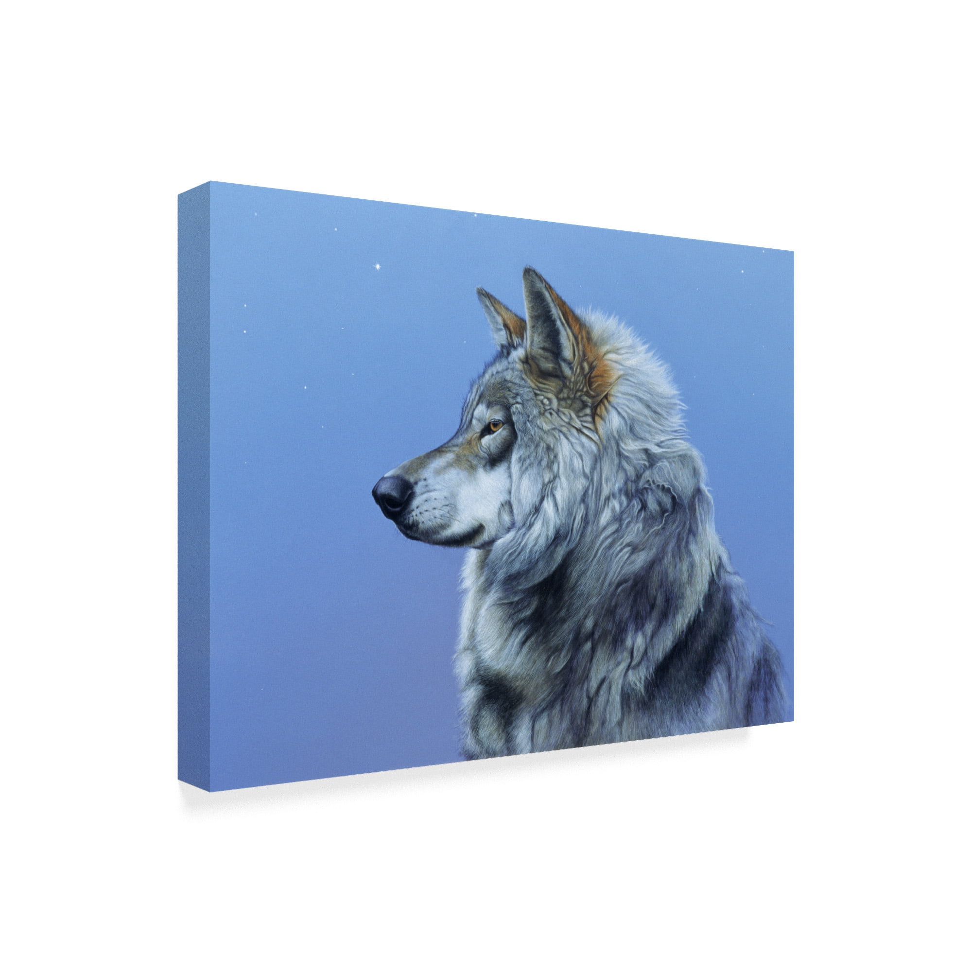 Trademark Fine Art 'Northern Star' Canvas Art by Rusty Frentner