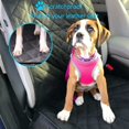 thumbnail image 4 of Funda para asiento de coche para perros para asientos delanteros. Protector de Asiento de Coche para Perros Impermeable y Antirrayas. Se adapta a la mayoría de camionetas, furgonetas y SUV, color, 4 of 5